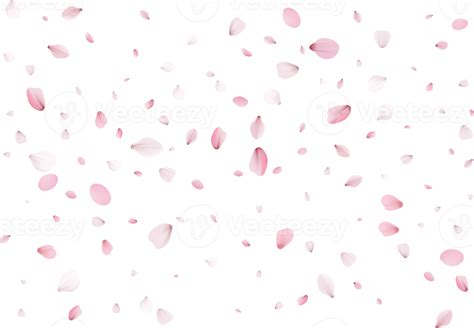 Pink Sakura Petals PNG