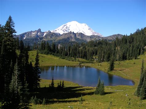 It's a quiet area right in the heart of the. Cowlitz Riverfront Mountain Cabin: photo gallery 2