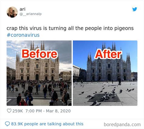 30 Memes Roasting Those Who Travel The World Despite The Coronavirus