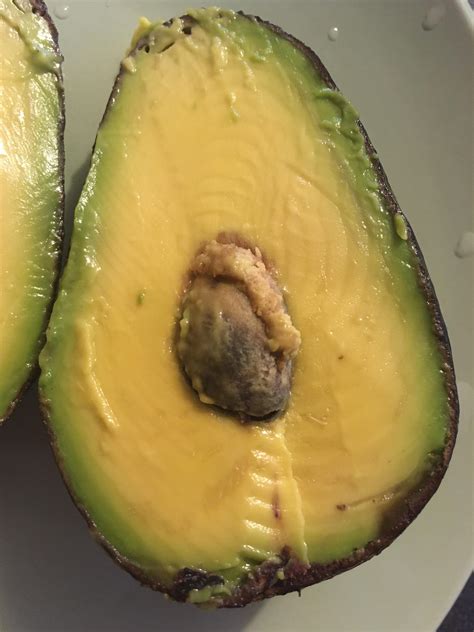 This Avocado With A Very Small Seed Rmildlyinteresting