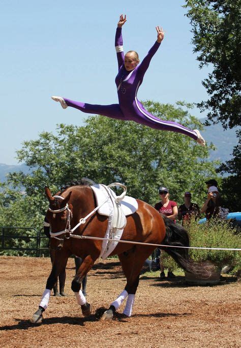 67 Best Vaulting Images Vaulting Trick Riding Equestrian