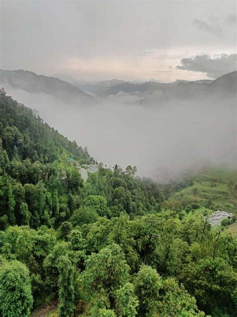 Hassan Valley Retreat Shimla Saavi Group Of Hotels