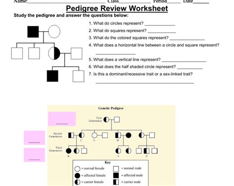 Human Pedigree Genetics Worksheet