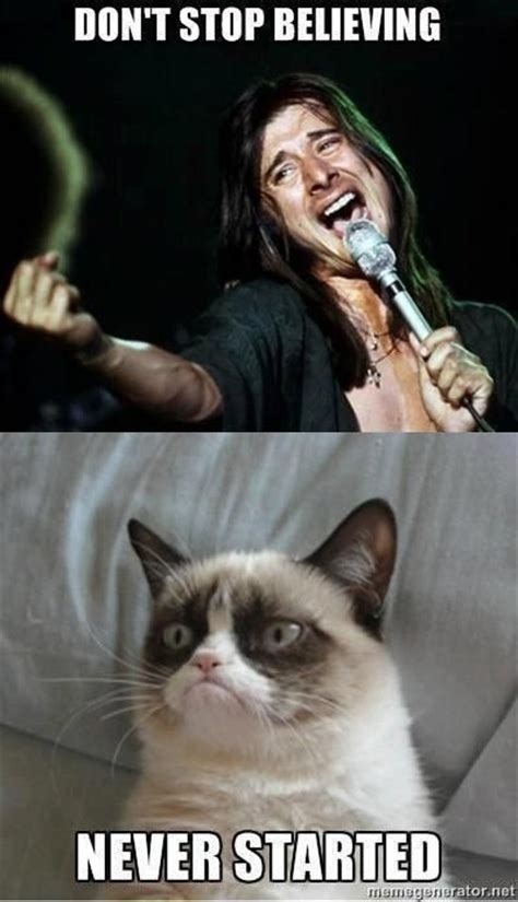 30 Grumpy Cat Funny Quotes 15 Grumpy Cat Funny Memes