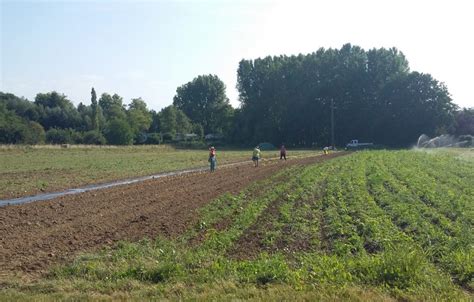 Connaissezvous les paniers des jardins de Cocagne à Besançon