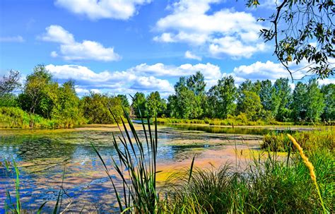 Lakes And Streams Nature Journals