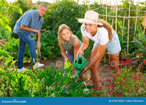 Daughter Helps Mother Clean Weeds In Farmer Garden Beds Stock