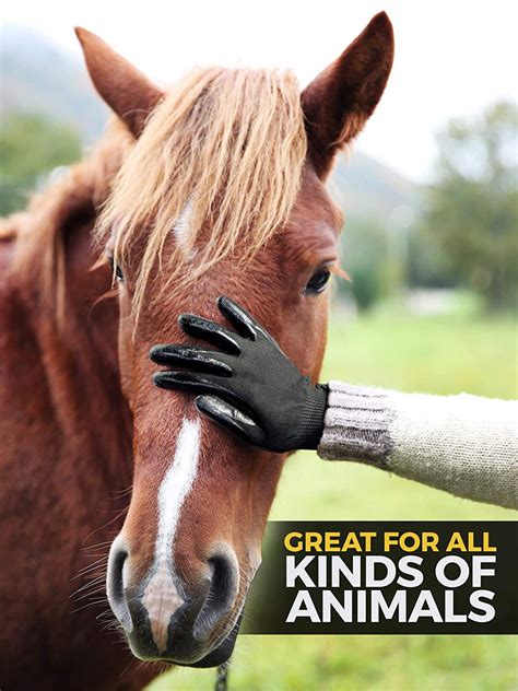 Maybe you need to look a bit harder. 23 Unique Gifts For Horse Lovers - Birthday Inspire