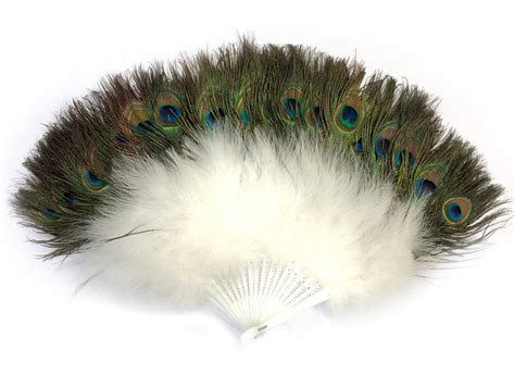 Peacock Feather Fan Hai Trim And Feathers