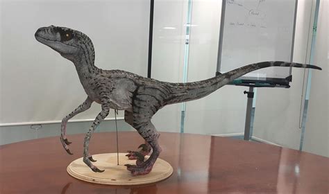 Jurassic Park Velociraptor Modelversion 3female By Stone Arazel