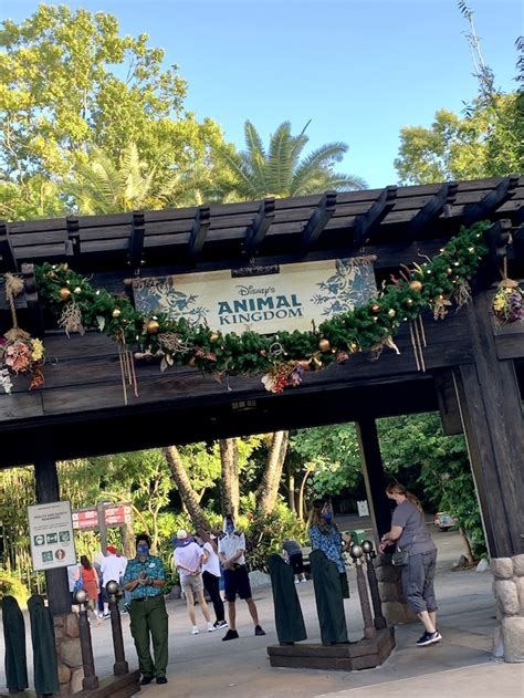 Complete Guide To Touring Animal Kingdom During The Holidays