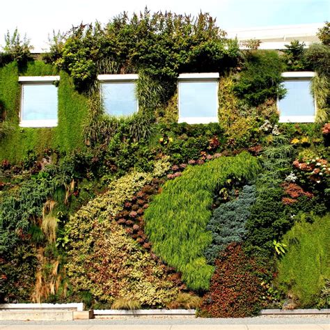 Green Wall At Semiahmoo Library Surrey Bc Design By