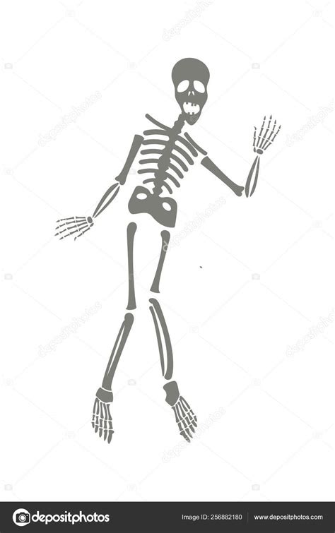 Cute Skeleton Cartoon