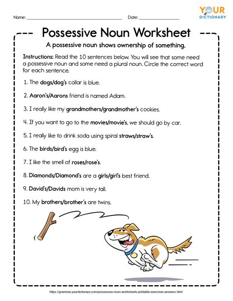 Possessive Noun Worksheets Printable Exercises With Answers