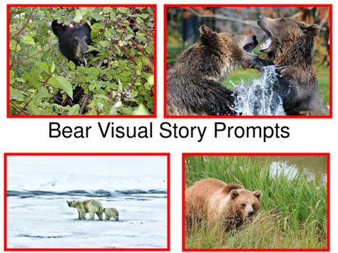 Bear Visual Story Prompts Teaching Resources