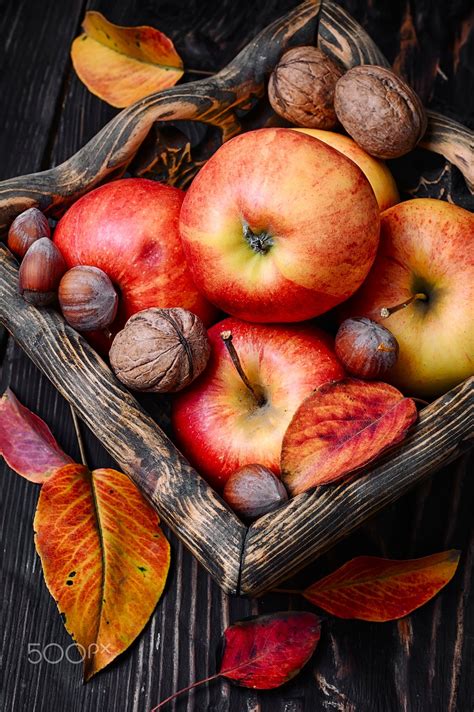 Basket Of Autumn Apples Stylish Wooden Basket With Autumn Harvest