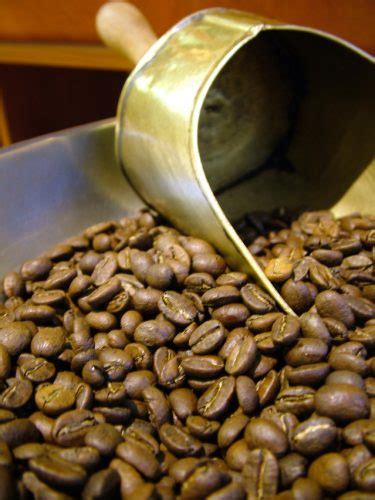 Because most costa rican beans are washed, they brew well in a variety of method. Best Costa Rican Coffee Beans Guide - Top 5 Brands ...