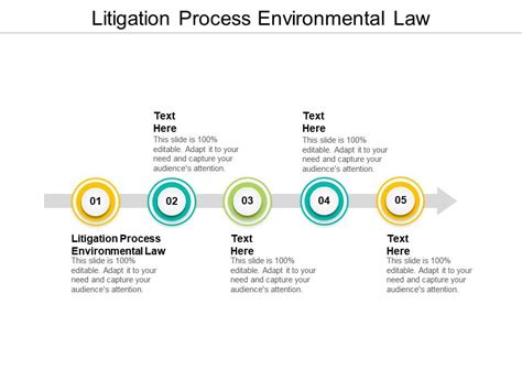 Litigation Process Environmental Law Ppt Powerpoint Presentation Model
