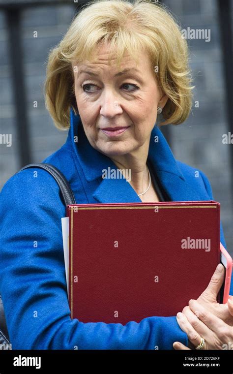 Andrea Leadsom Mp Hi Res Stock Photography And Images Alamy