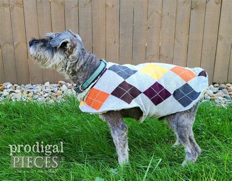 Diy Dog Coat From Upcycled Sweaters Prodigal Pieces