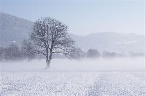 Snowy Field 452859 By Stockproject1 On Deviantart