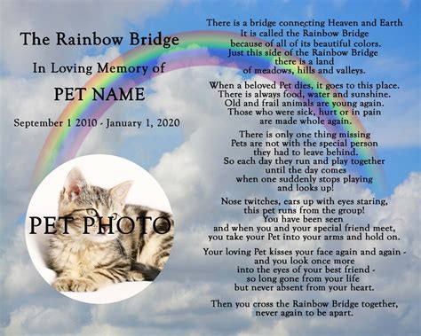 Personalized Rainbow Bridge Pet Loss Memorial Poem Dog Cat 8x10 Print