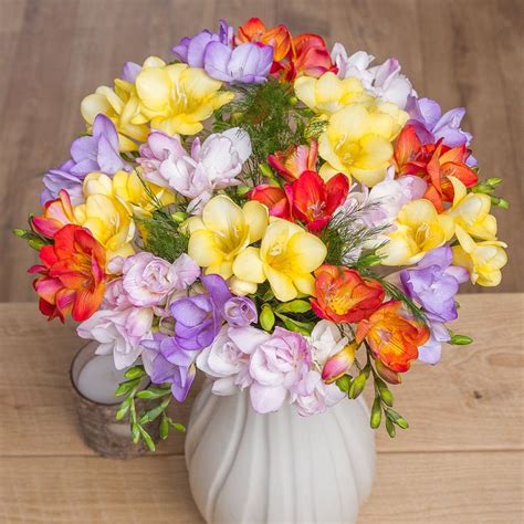 Dutch Freesia In Mixed Colours With Greenery Beautiful Flowers