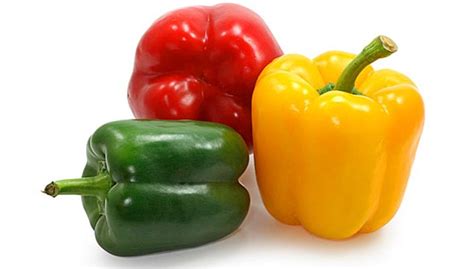 Bell pepper, also known as sweet pepper, is one of the most commonly employed chili peppers in the as the fruit matures, it gradually acquires its true genetic color; Interesting & Fun, Red, Green, Orange, Purple Bell Pepper ...