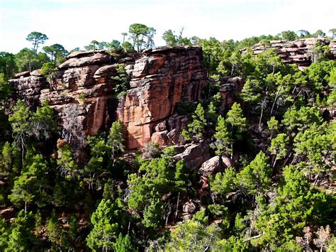 Read reviews and choose a room with planet of hotels. Pinares de Rodeno en la Sierra de Albarracín - Teruel | Flickr