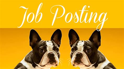Job Posting: Office Manager at Comfy Cozy Pet Sitting ...