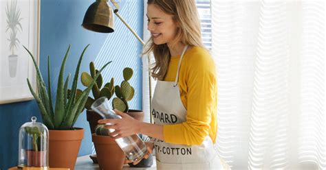 Consejos Para Cuidar Tus Plantas Y Tu Jard N