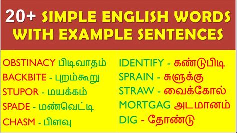 20 Simple English Vocabulary Words With Meaning In Tamil English