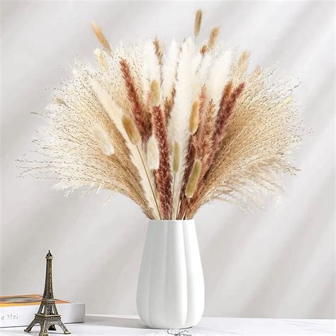 30pcs Dried Flower Nature Fluffy Pampas Grass For Wedding Party Decoration Bunny Rabbit Tail