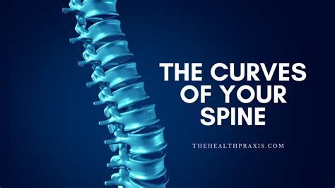 The Curves Of Your Spine The Healthpraxis Barnstaple