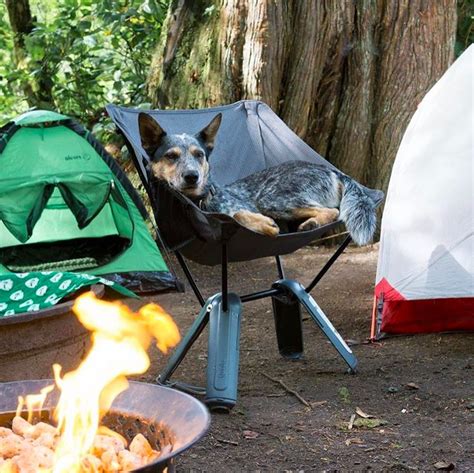 Camping Photos That Are Almost Too Dreamy To Be Real Camping Photo Camping Cozy Camping