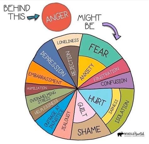 A Helpful Wheel Graphic To Remind Us That There Can Be Many Different