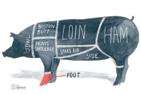 A Diagram And Pork Chart Of Cuts Of Meat
