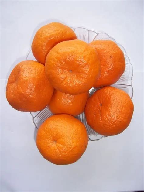 Mandarin Orange Fresh Fruit For Bangladesh Market Buy Mandarin Orange