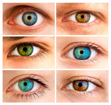 ¿de Qué Color Quieres Los Ojos • Cinco Noticias
