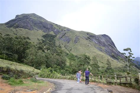 Anamudi Peak Munnar 2021 Alles Wat U Moet Weten Voordat Je Gaat