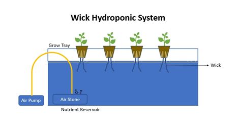 Wick Hydroponic System Best And Easy Hydroponic System For Beginners