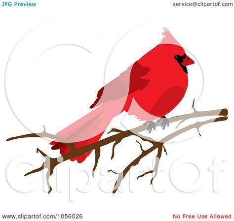 Royalty Free Vector Clip Art Illustration Of A Red Cardinal On A Bare