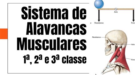 Alavancas De Segunda Classe