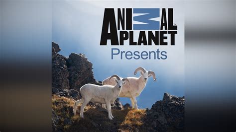 Animal Planet Presents Apple Tv