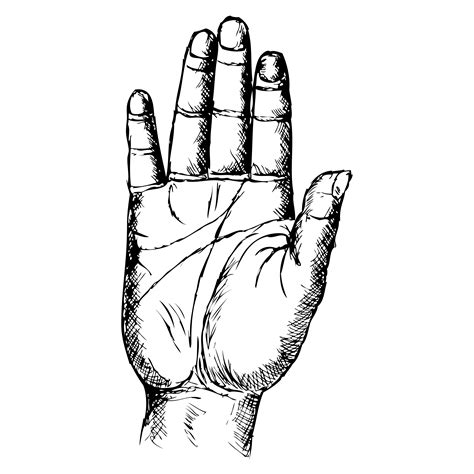 Free Hand Drawn Hand Vector Image
