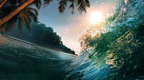Wallpaper Wave, 5k, 4k wallpaper, 8k, ocean, palms, sun, Nature #5490