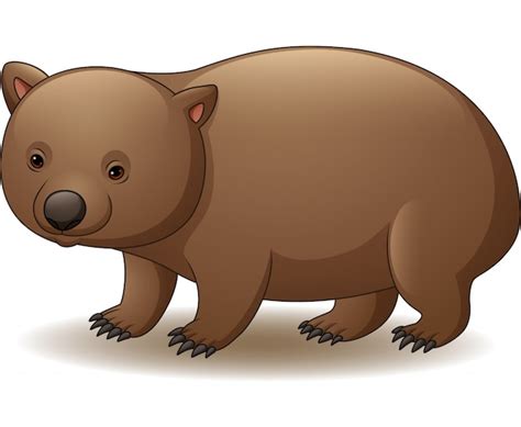 Wombat Images Free Vectors Stock Photos And Psd