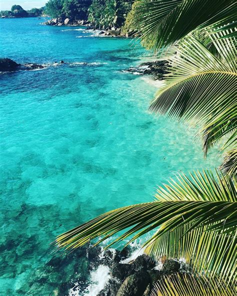 Tropical Aesthetic Summer Vibes Hawaii Wanderlust Summer Vibes