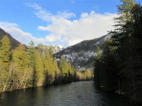 Skagit River Loop Where Eagles Dine Hike Of The Week