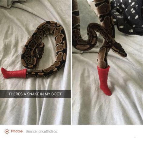 25 Best Memes About Theres A Snake In My Boot Theres A Snake In My
